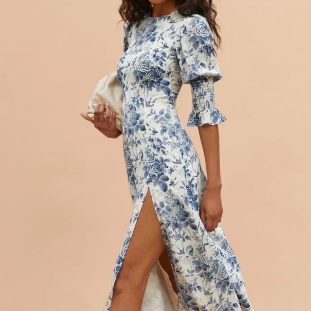 Reformation Carolena Dress Pompadour 2